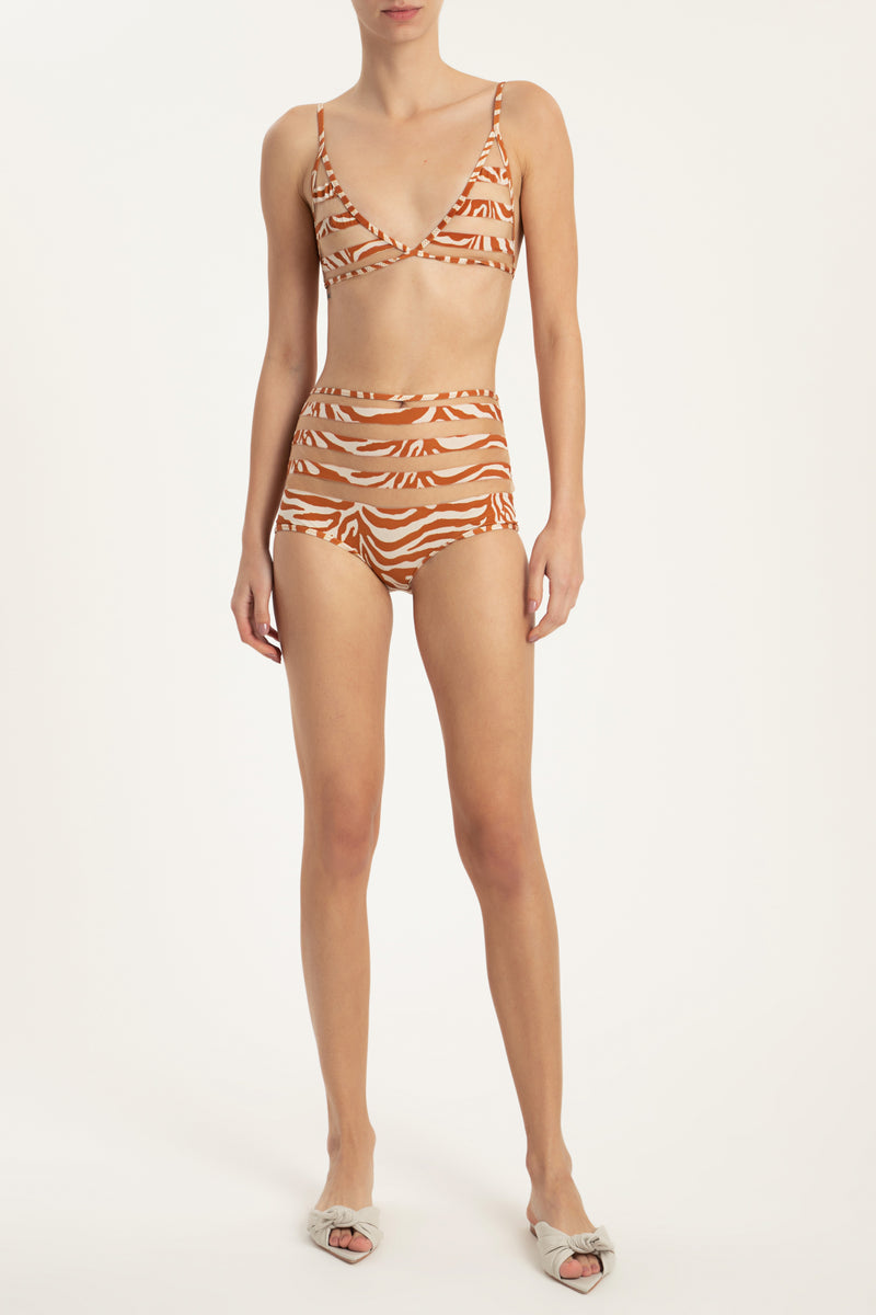Skin Zebra Print Tulle Detail Hot Pants