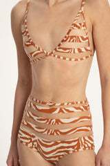Skin Zebra Print Tulle Detail Hot Pants
